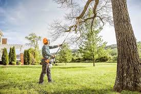 Best Tree Removal Services  in Mansfield, MO